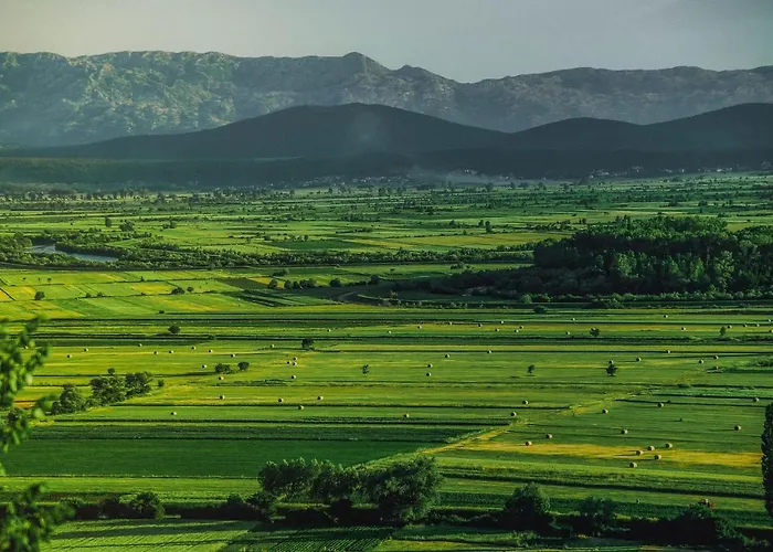 Bella アパート *